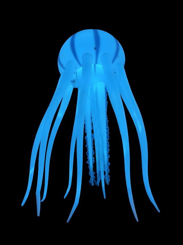 Beyond imagination with the 10 meter jellyfish made for contemporary artist Claudia Comte.
From@phone call to design to installation in Venezia 3 weeks ... but we had a lot of luck. Usually we need min 6 to 8 weeks to complete such a project.
@digitalinflatables #custominflatables #artists